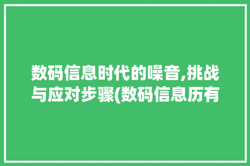 数码信息时代的噪音,挑战与应对步骤(数码信息历有噪音)