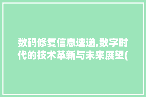 数码修复信息速递,数字时代的技术革新与未来展望(数码修复信息速递)