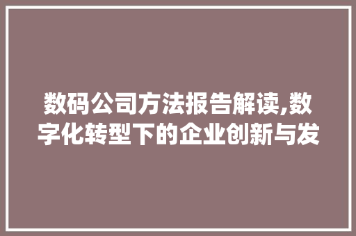 数码公司方法报告解读,数字化转型下的企业创新与发展(数码公司方法报告) 美食菜谱