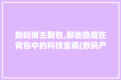数码博主翻包,那些隐藏在背包中的科技宝藏(数码产品博主翻包) 手机电脑