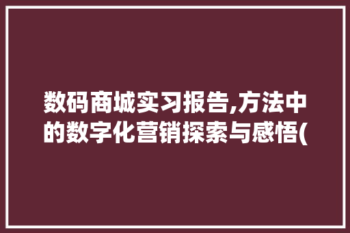 数码商城实习报告,方法中的数字化营销探索与感悟(数码商城实习报告) 旅游攻略