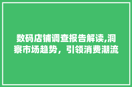 数码店铺调查报告解读,洞察市场趋势，引领消费潮流(数码店铺调查报告) 汽车常识