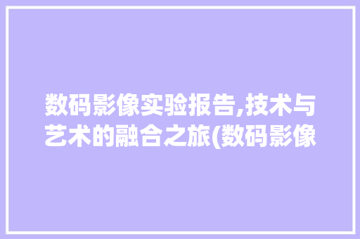 数码影像实验报告,技术与艺术的融合之旅(数码影像实验报告) 手机电脑