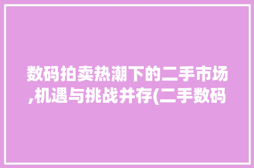 数码拍卖热潮下的二手市场,机遇与挑战并存(二手数码产品拍卖) 手机电脑
