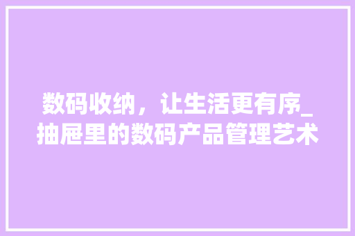 数码收纳，让生活更有序_抽屉里的数码产品管理艺术(收抽屉的数码产品) 汽车常识