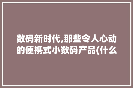 数码新时代,那些令人心动的便携式小数码产品(什么小数码产品好)