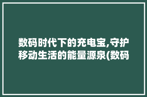 数码时代下的充电宝,守护移动生活的能量源泉(数码产品和充电宝)