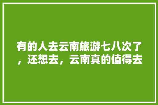 有的人去云南旅游七八次了，还想去，云南真的值得去了又去吗「去云南旅游攻略七八月份」 有的人去云南旅游七八次了，还想去，云南真的值得去了又去吗「去云南旅游攻略七八月份」 教育法律