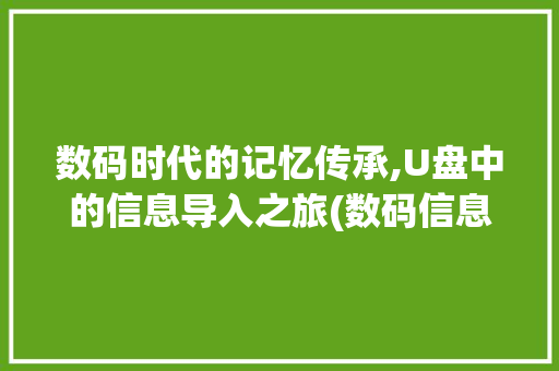 数码时代的记忆传承,U盘中的信息导入之旅(数码信息导入u盘)