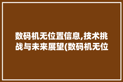 数码机无位置信息,技术挑战与未来展望(数码机无位置信息)