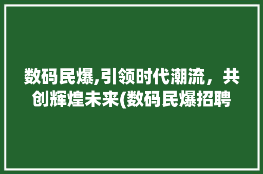 数码民爆,引领时代潮流，共创辉煌未来(数码民爆招聘信息)