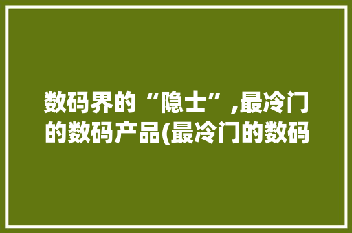 数码界的“隐士”,最冷门的数码产品(最冷门的数码产品) 健康母婴