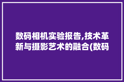 数码相机实验报告,技术革新与摄影艺术的融合(数码相机实验报告) 手机电脑
