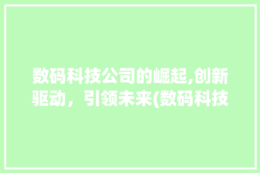 数码科技公司的崛起,创新驱动，引领未来(数码科技公司信息)