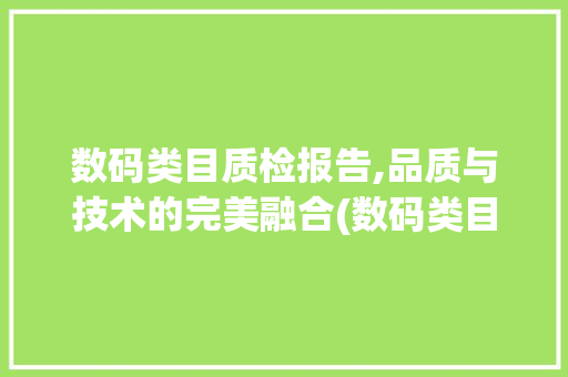 数码类目质检报告,品质与技术的完美融合(数码类目质检报告)