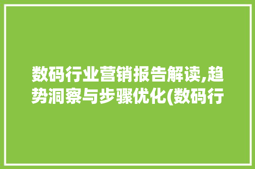 数码行业营销报告解读,趋势洞察与步骤优化(数码行业营销报告)