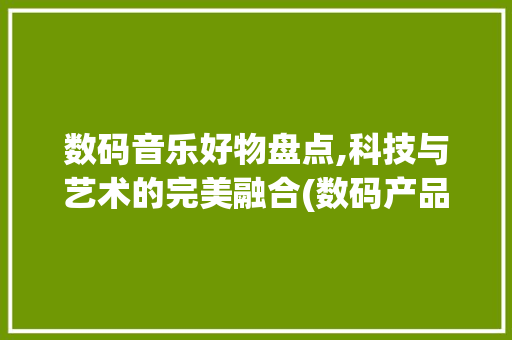 数码音乐好物盘点,科技与艺术的完美融合(数码产品好物音乐)