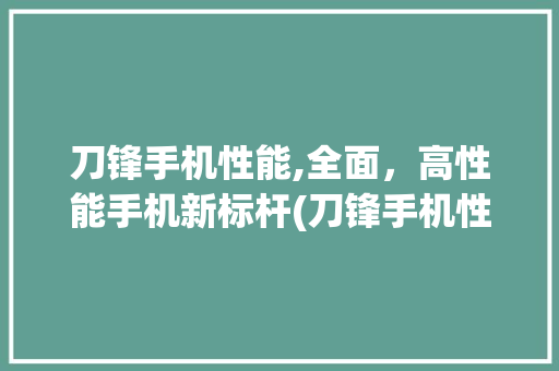 刀锋手机性能,全面，高性能手机新标杆(刀锋手机性能)