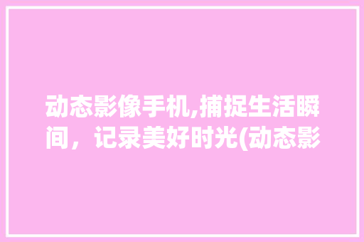 动态影像手机,捕捉生活瞬间，记录美好时光(动态影像手机)