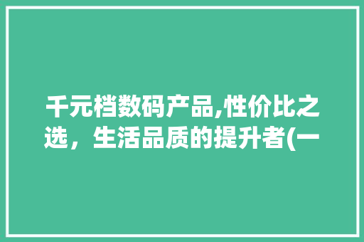 千元档数码产品,性价比之选，生活品质的提升者(一千元档数码产品) 教育法律