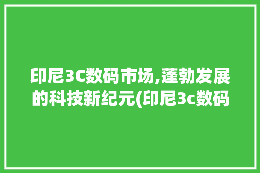 印尼3C数码市场,蓬勃发展的科技新纪元(印尼3c数码产品)