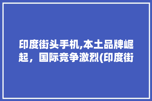 印度街头手机,本土品牌崛起，国际竞争激烈(印度街头手机)