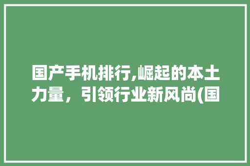 国产手机排行,崛起的本土力量，引领行业新风尚(国产手机排行)