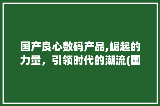 国产良心数码产品,崛起的力量，引领时代的潮流(国产良心数码产品)