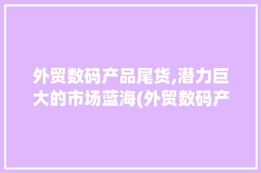 外贸数码产品尾货,潜力巨大的市场蓝海(外贸数码产品尾货)