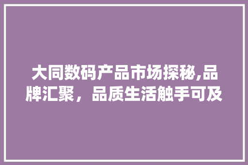 大同数码产品市场探秘,品牌汇聚，品质生活触手可及(大同哪卖数码产品)