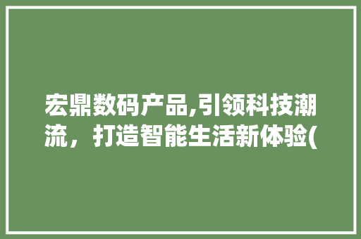 宏鼎数码产品,引领科技潮流，打造智能生活新体验(宏鼎数码产品官网)