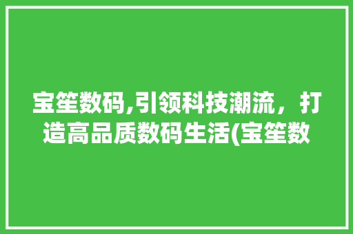 宝笙数码,引领科技潮流，打造高品质数码生活(宝笙数码产品)