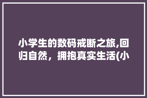 小学生的数码戒断之旅,回归自然，拥抱真实生活(小学生戒数码产品) 旅游攻略