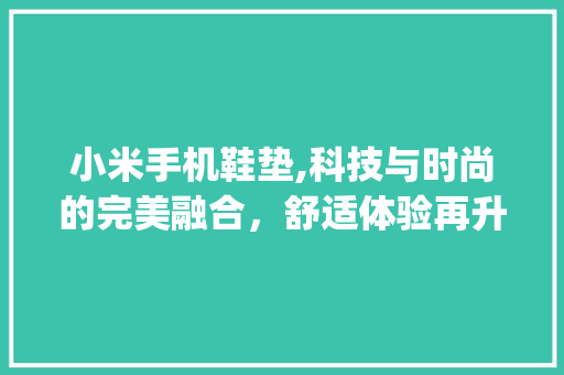 小米手机鞋垫,科技与时尚的完美融合，舒适体验再升级(小米手机鞋垫)