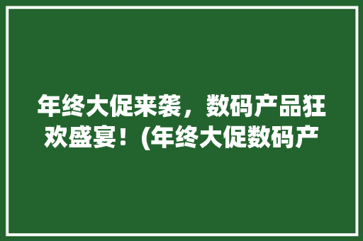 年终大促来袭，数码产品狂欢盛宴！(年终大促数码产品) 手机电脑