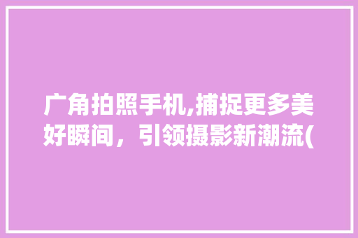 广角拍照手机,捕捉更多美好瞬间，引领摄影新潮流(广角拍照手机)