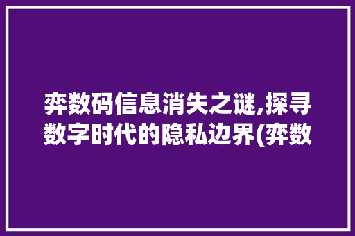 弈数码信息消失之谜,探寻数字时代的隐私边界(弈数码信息没有了)