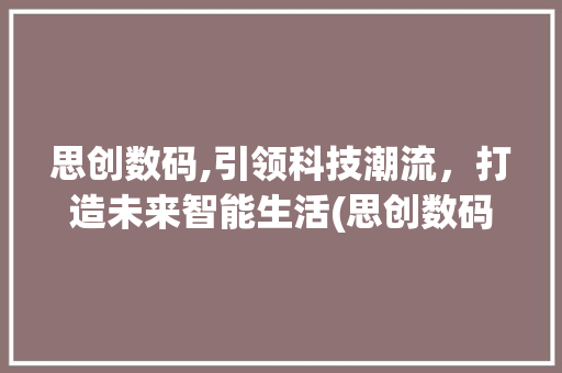 思创数码,引领科技潮流，打造未来智能生活(思创数码招聘信息)