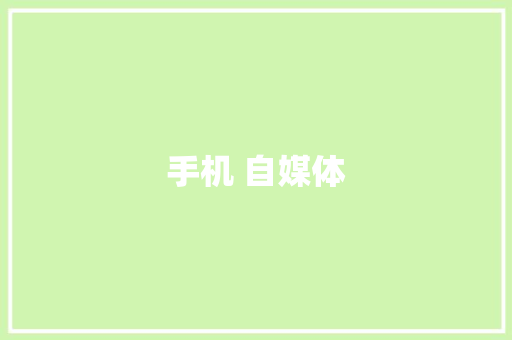 手机 自媒体