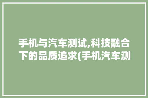 手机与汽车测试,科技融合下的品质追求(手机汽车测试)