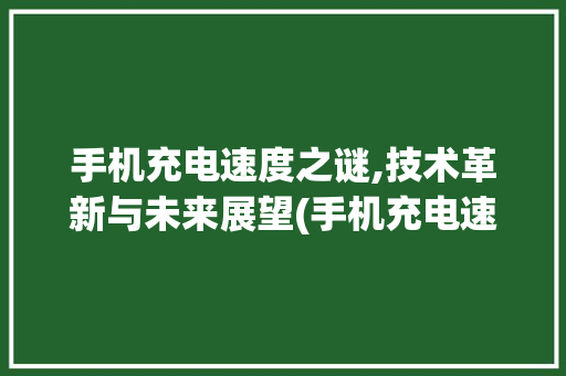 手机充电速度之谜,技术革新与未来展望(手机充电速度)