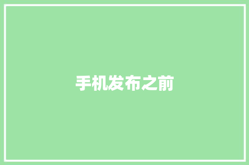 手机发布之前