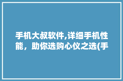 手机大叔软件,详细手机性能，助你选购心仪之选(手机大叔软件) 美食菜谱