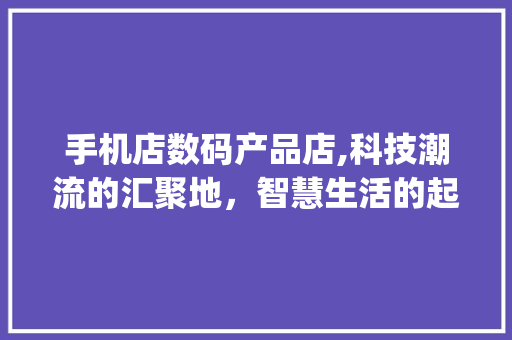 手机店数码产品店,科技潮流的汇聚地，智慧生活的起点(手机店数码产品店) 时尚穿搭