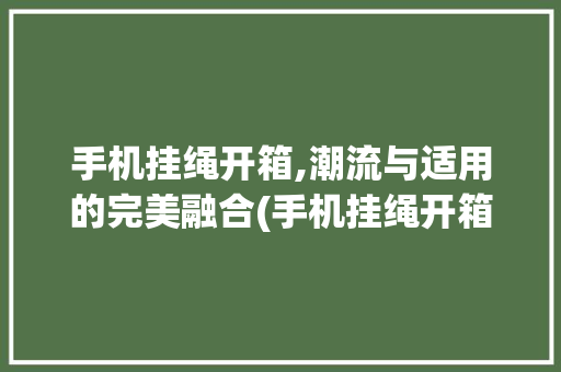 手机挂绳开箱,潮流与适用的完美融合(手机挂绳开箱)