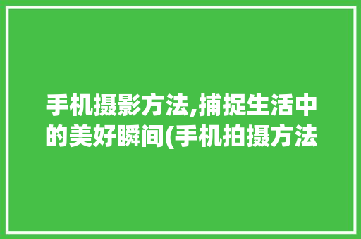 手机摄影方法,捕捉生活中的美好瞬间(手机拍摄方法) 时尚穿搭