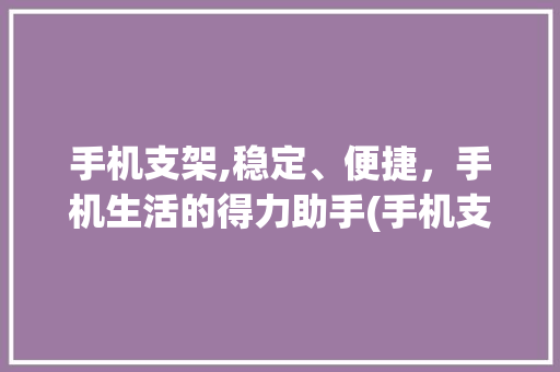 手机支架,稳定、便捷，手机生活的得力助手(手机支架使用) 美食菜谱