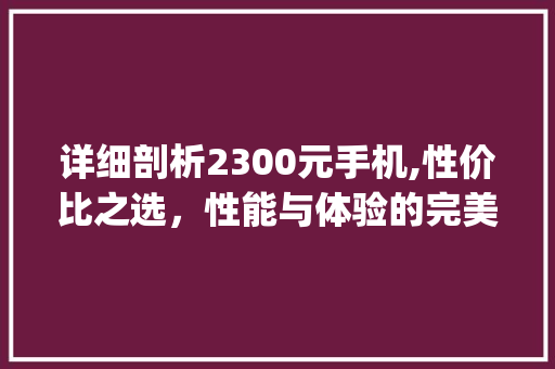 详细剖析2300元手机,性价比之选，性能与体验的完美平衡(手机2300)