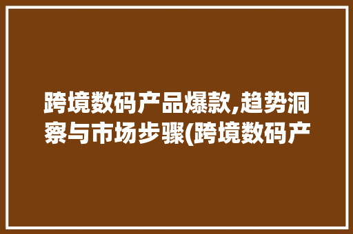 跨境数码产品爆款,趋势洞察与市场步骤(跨境数码产品爆款)