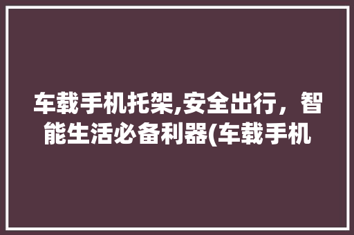 车载手机托架,安全出行，智能生活必备利器(车载手机托架)